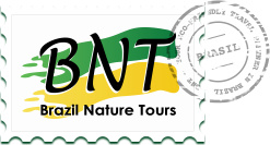 bonito brazil tour